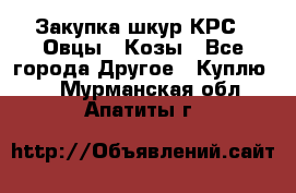 Закупка шкур КРС , Овцы , Козы - Все города Другое » Куплю   . Мурманская обл.,Апатиты г.